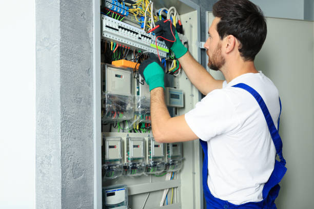 Best Electric Panel Repair  in Chlicothe, IL